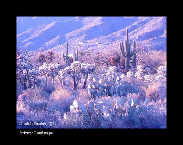 Arizona Landscape