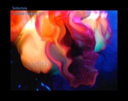 (((Seduction))) copy